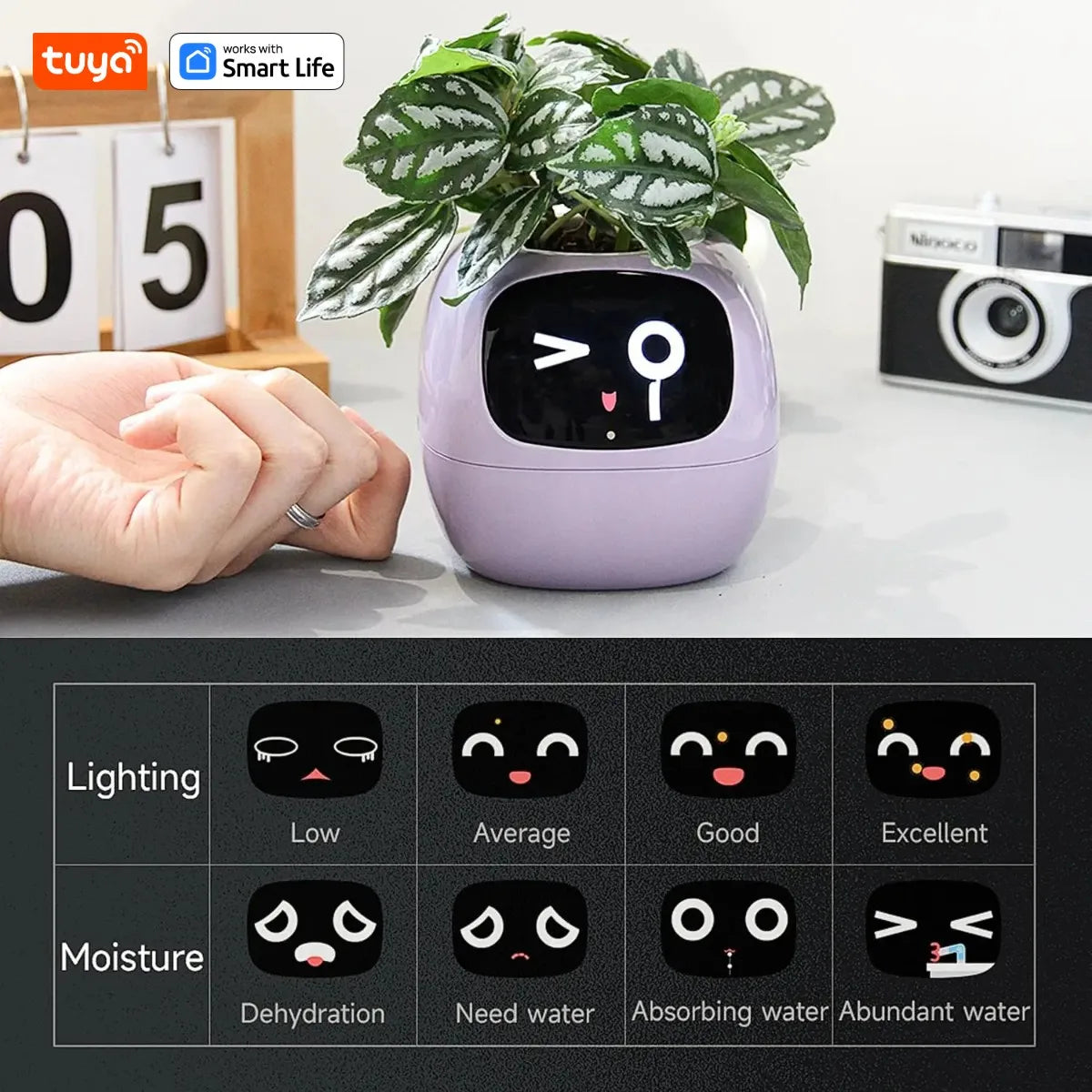Tuya Pink Ivy Smart Planter with 7 Sensors and AI Chips